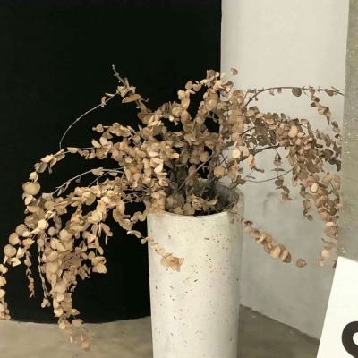 Furry插画氛围提升兽圈社群